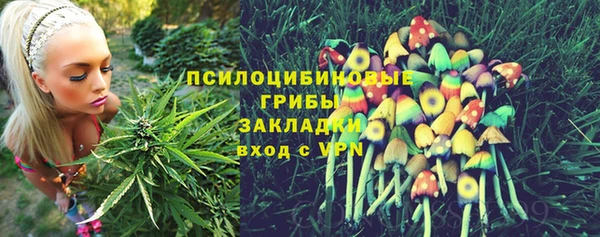 гашик Медвежьегорск