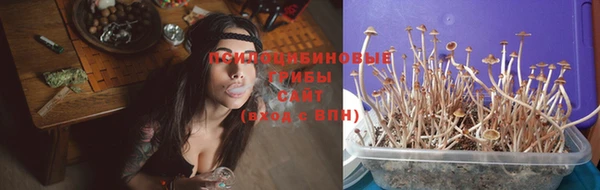 ешки Михайлов