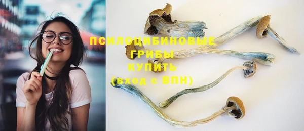 ешки Михайлов