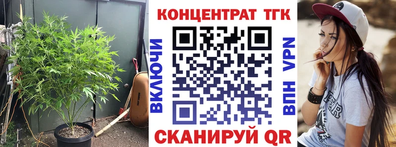 Дистиллят ТГК THC oil  дарк нет официальный сайт  Новая Ладога 