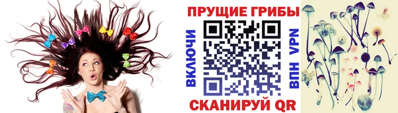Псилоцибиновые грибы ЛСД  Новая Ладога 