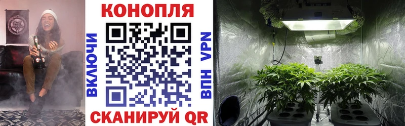 Марихуана индика  что такое наркотик  Новая Ладога 
